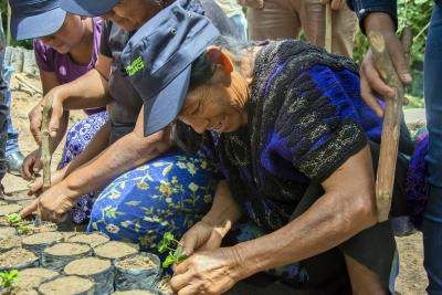 frauen regenerative landwirtschaft mexiko